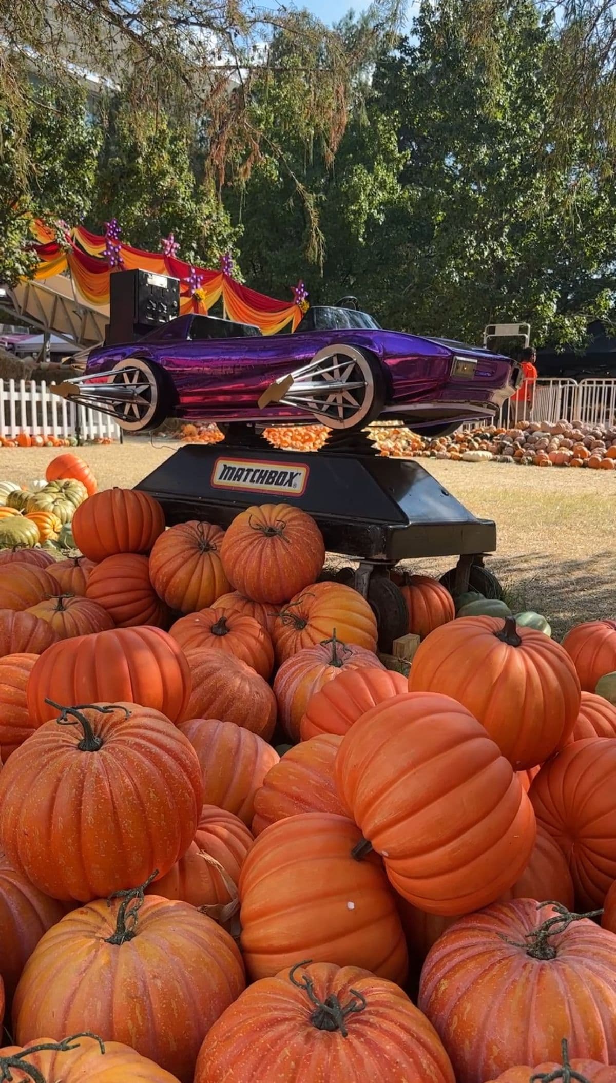A purple Matchbox car raised above a mountain of orange pumpkins